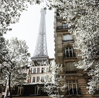 french in 90 days