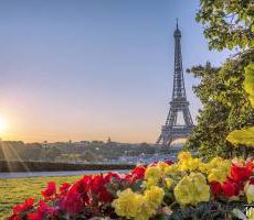 french-proverbs-1