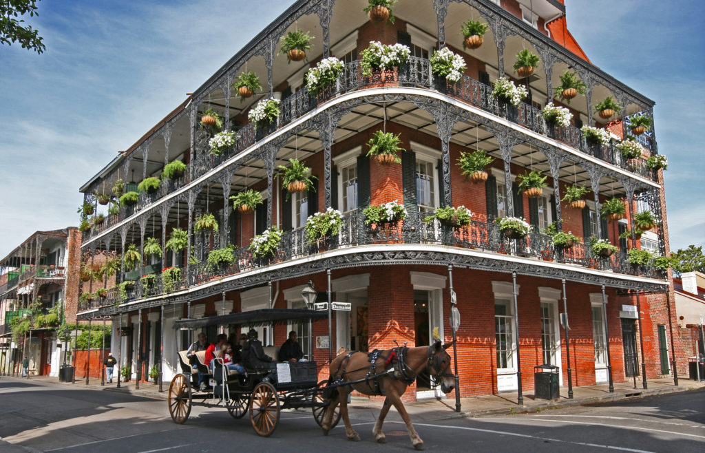 french immersion new orleans