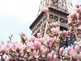 Hard to hear every word in the French conversation? Do this!