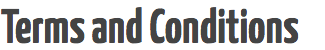 terms and conditions