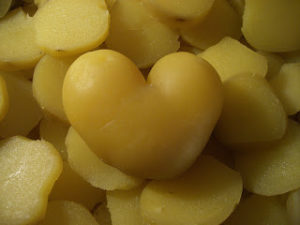 french fries