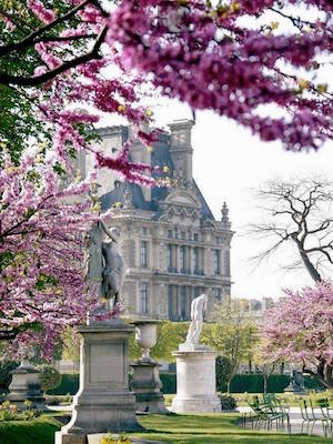 dans en brilliant francophone  