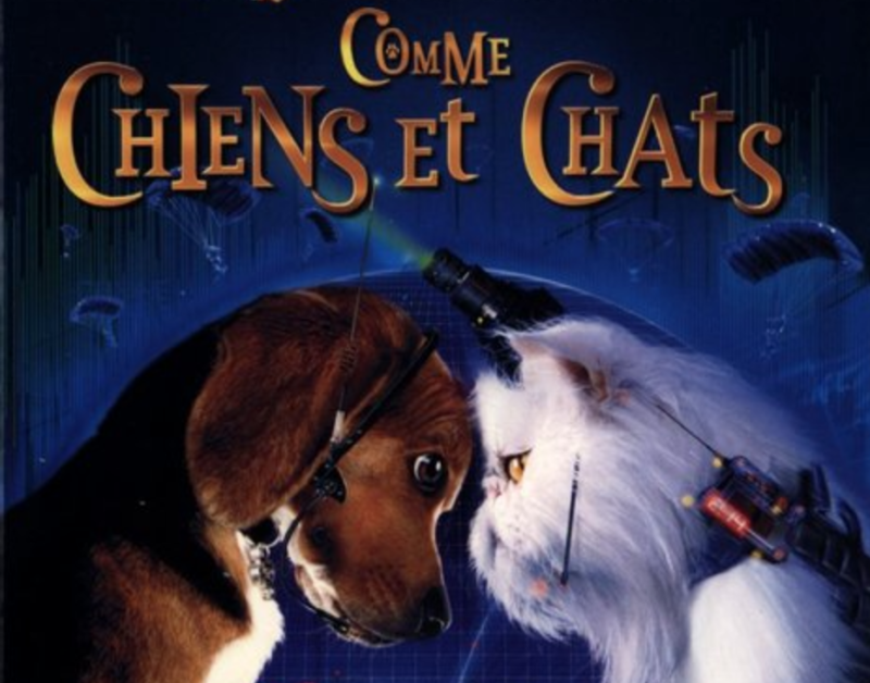 French cognates 