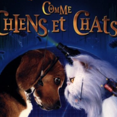 french cognates