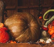 pumpkin french cuisine