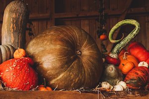 pumpkin french cuisine