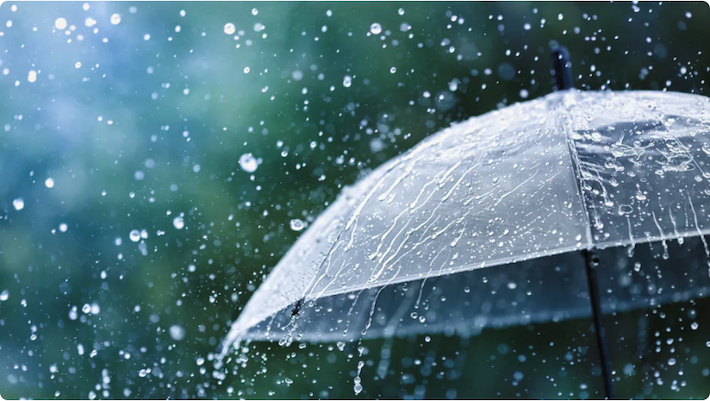 Umbrella - bgr.com